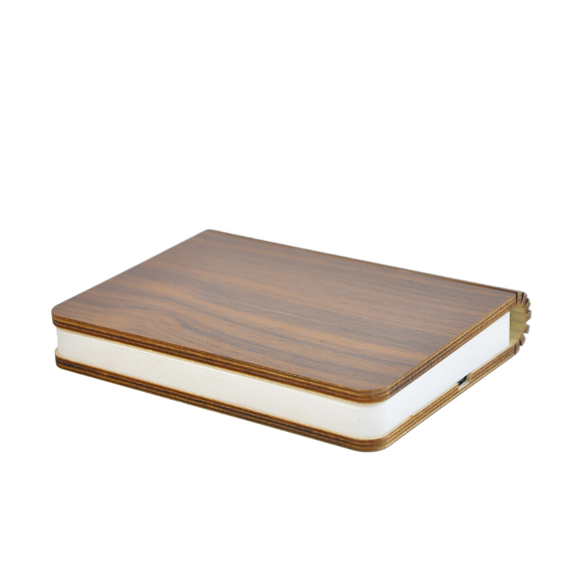 CAMPING LIGHT WJ-D003