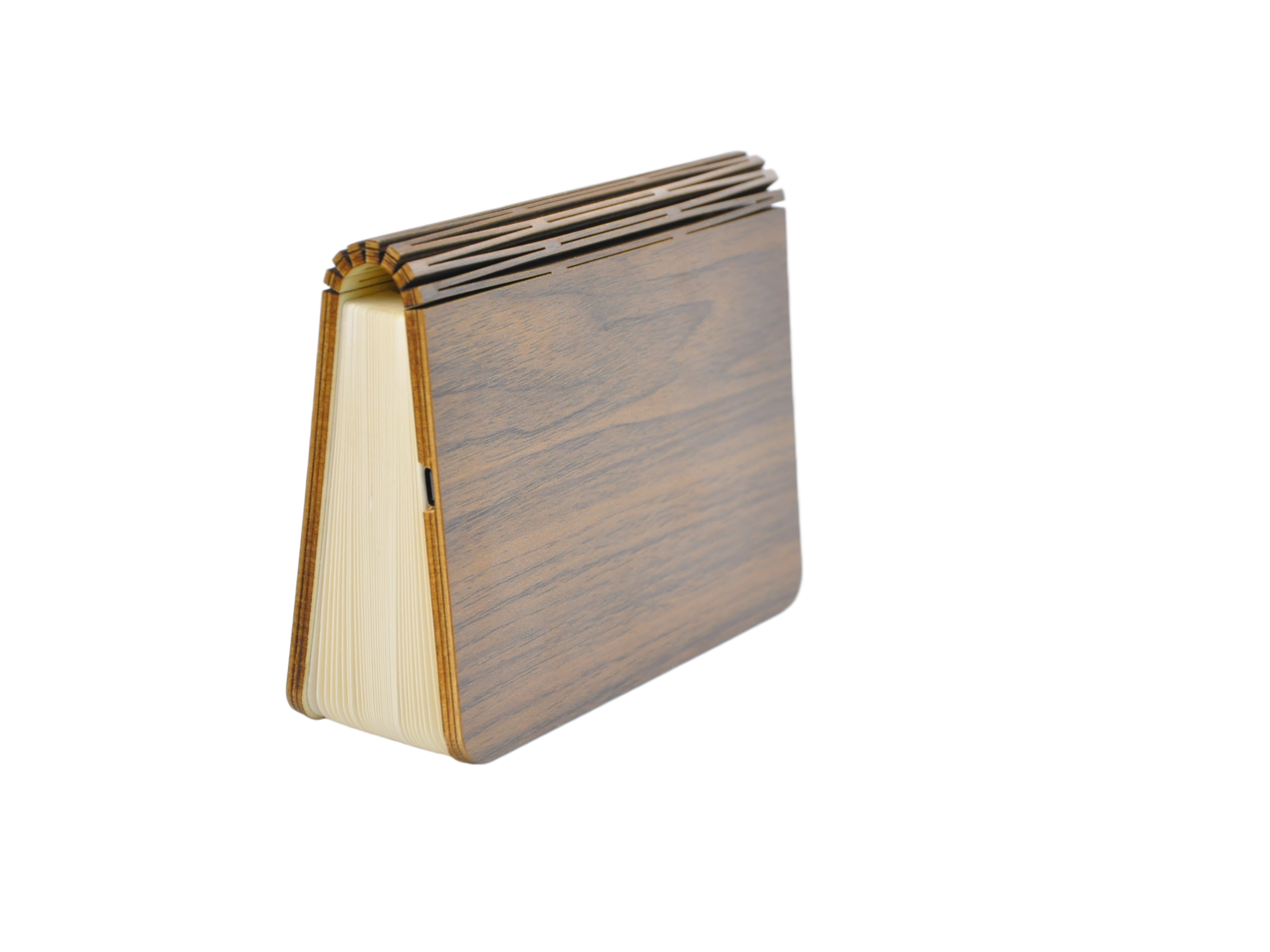 CAMPING LIGHT WJ-D003