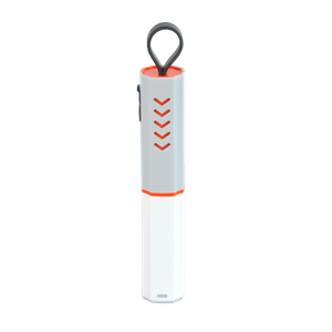 FLASHLIGHT WJ-F069