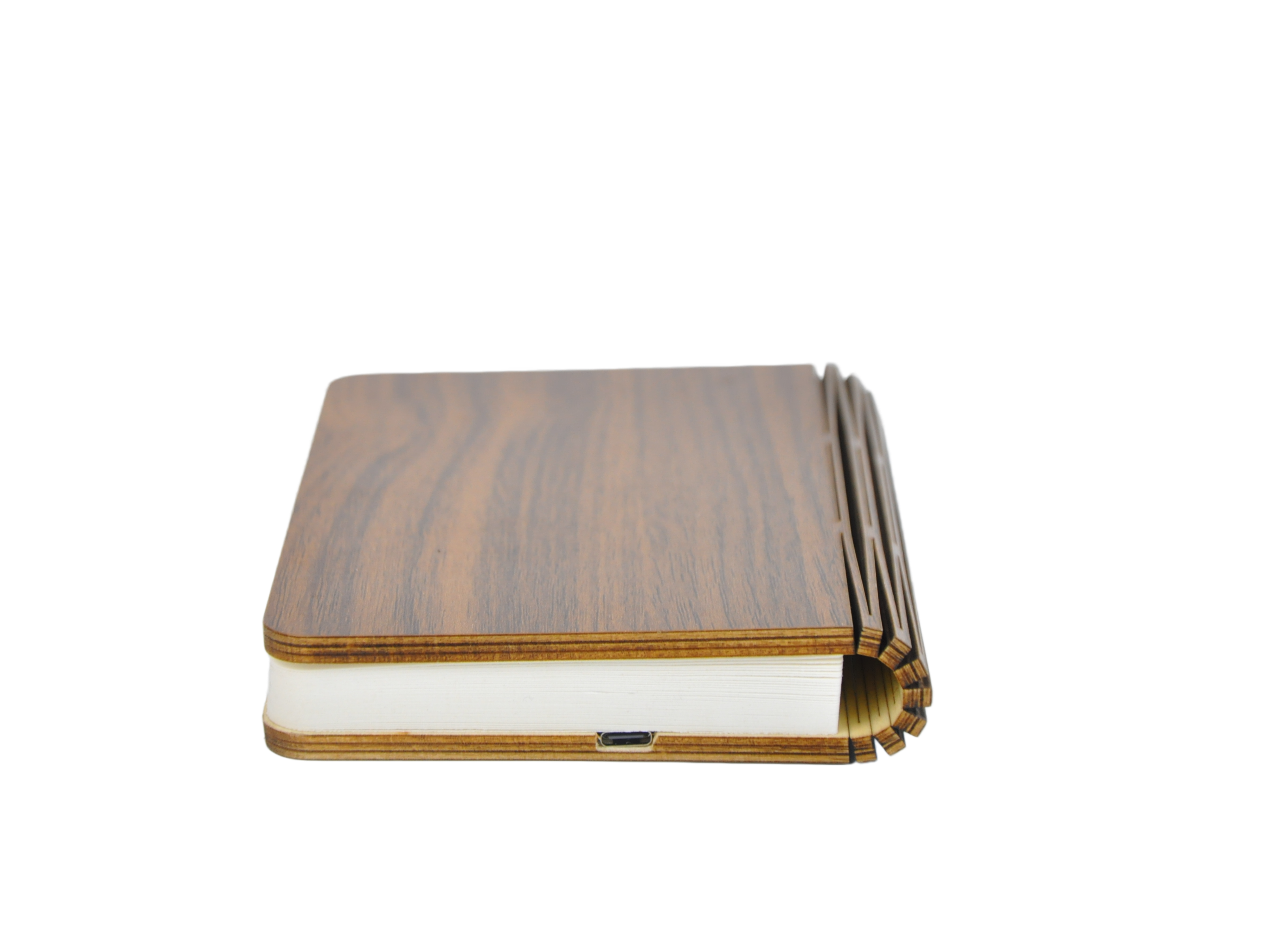 CAMPING LIGHT WJ-D003