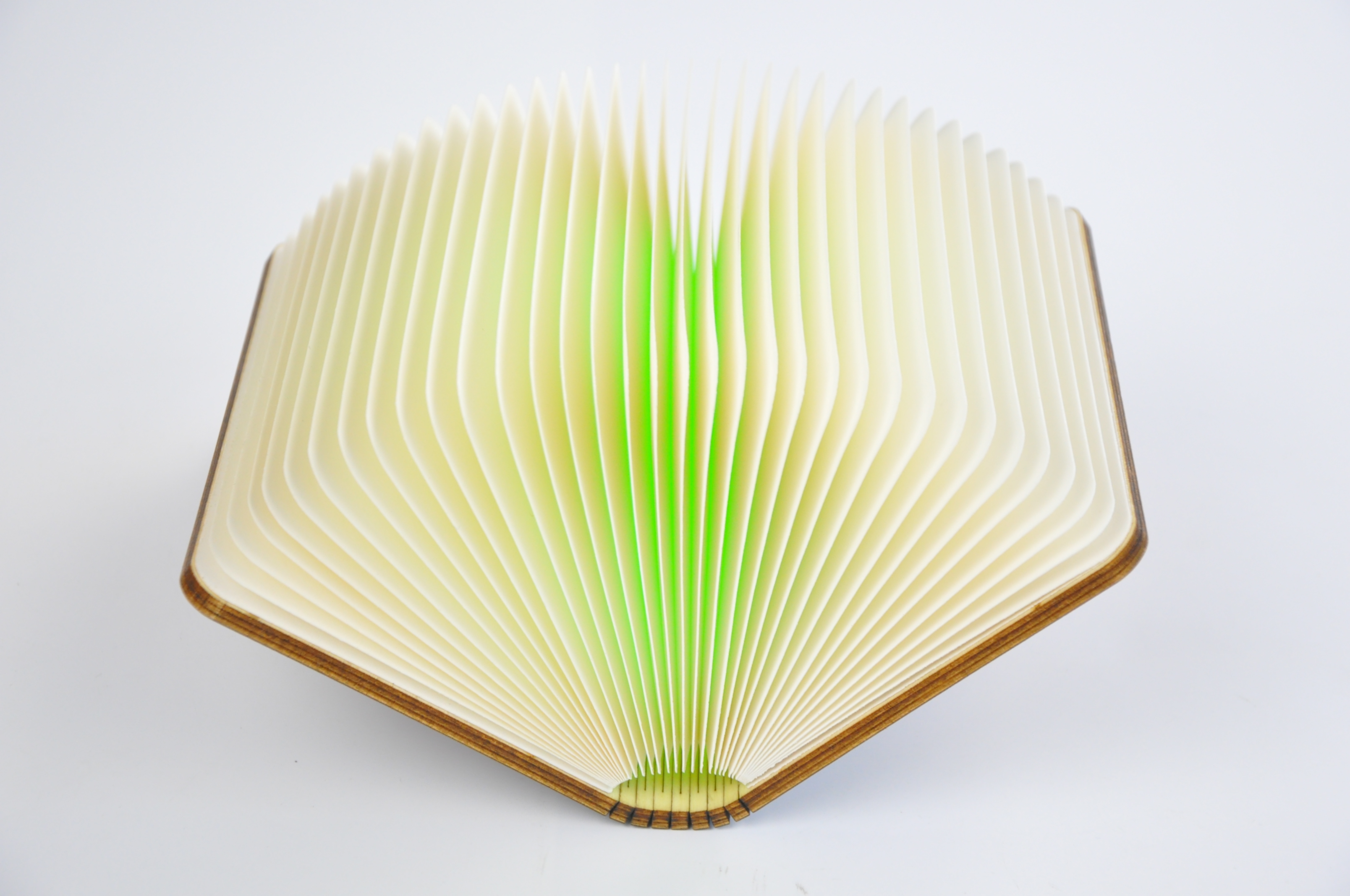 CAMPING LIGHT WJ-D003